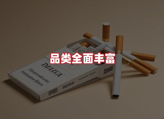专业团队